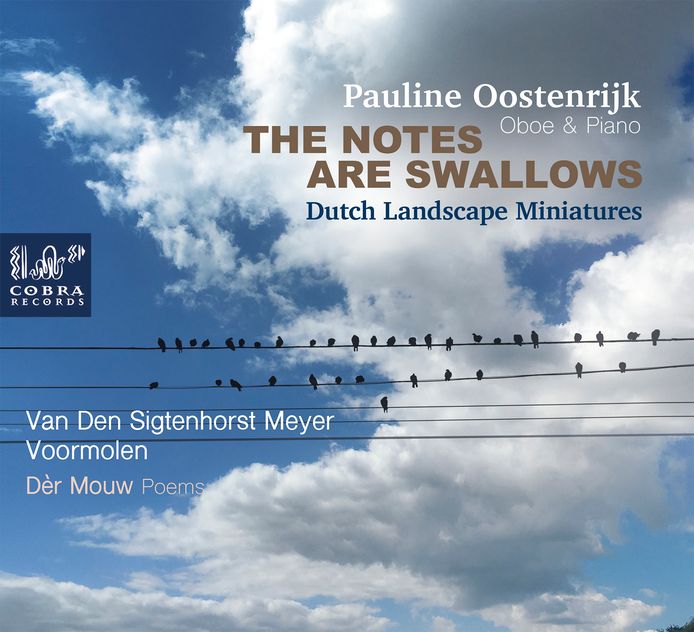 De cover van The notes are swallows door Pauline Oostenrijk.