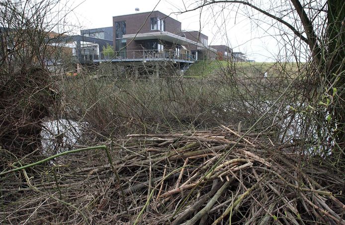 De beverburcht in het Wantijpark lag op nog geen 30 meter afstand van de woningen in Plan Tij.  Nader onderzoek toont aan dat die is verdwenen en niet langer een obstakel vormt voor de aanleg van een brug.