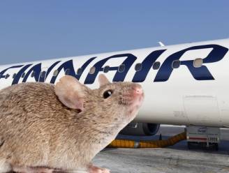 Nederlands gezin krijgt geld terug na muizen in vliegtuig
