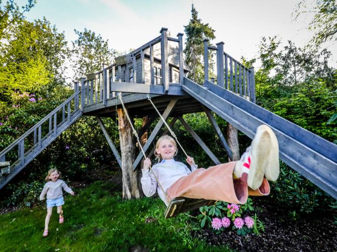 Zij hebben de ultieme kinderdroom in hun tuin: in de wolken met hun boomhut