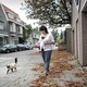 Moeten katten voortaan echt aangelijnd naar buiten?