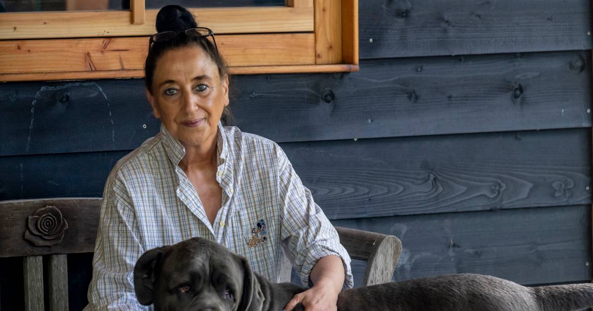 De hemel op aarde voor honden en katten die overal zijn afgeserveerd: ‘Het is hierheen, of de dood’