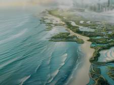 Le nouveau projet pharaonique de Dubaï: une mangrove de 70 km de long pour lutter contre le changement climatique
