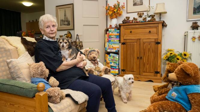 Grote transfer op til voor Beerschot: “We willen graag berencollectie van Simone (85)”