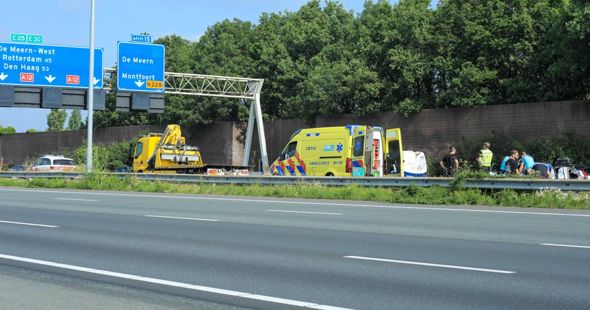 Overstekende gans volgens politie oorzaak ongeval op A12 bij De Meern .