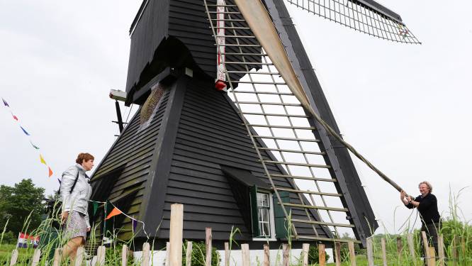 Gift van 4500 euro voor molen Ter Leede (bedoeld voor nieuwe zeilen op de wieken)