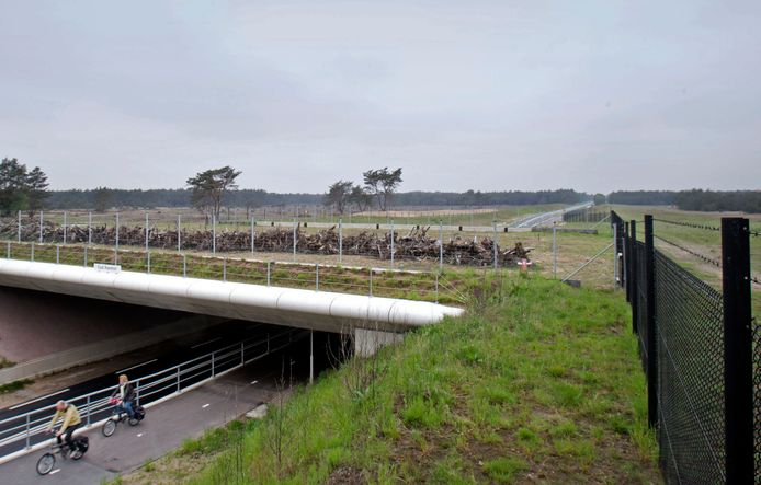 Een van de de ecoducten langs de rand van Nationaal Park Hoge Veluwe