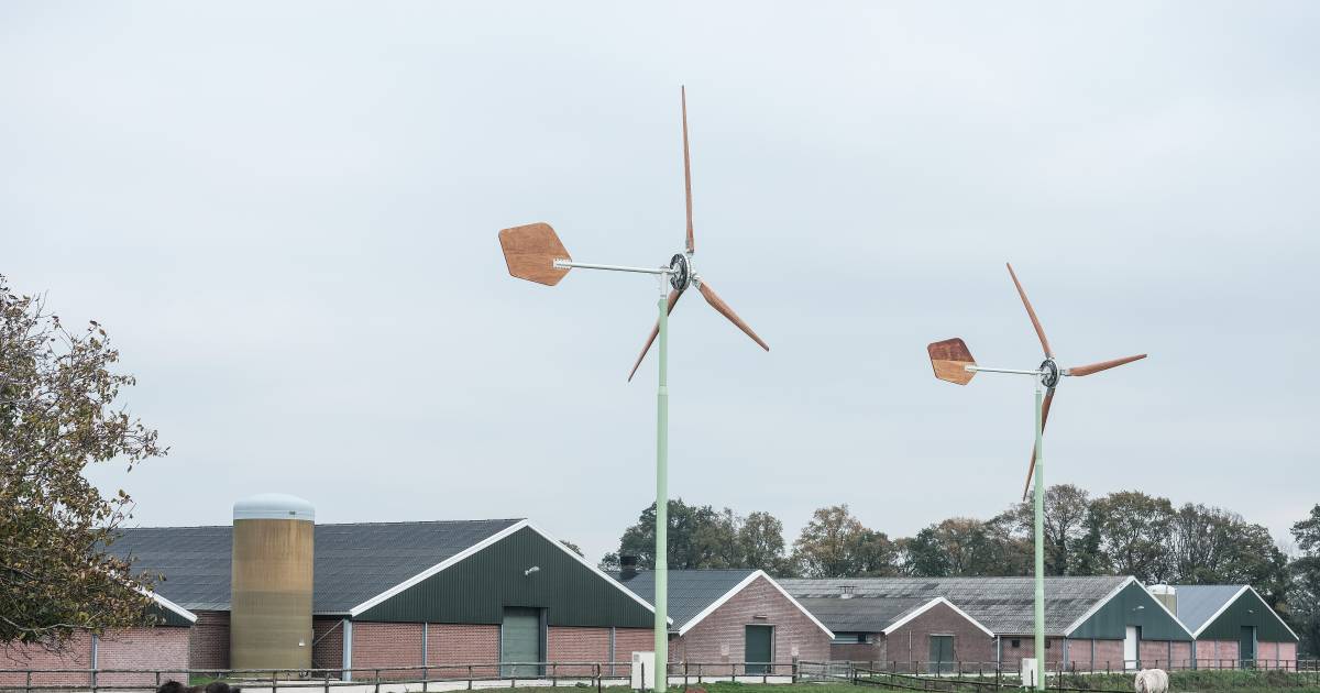 Boer Eddy snapt er niks van: hij mag zijn gloednieuwe windmolens niet aanzetten