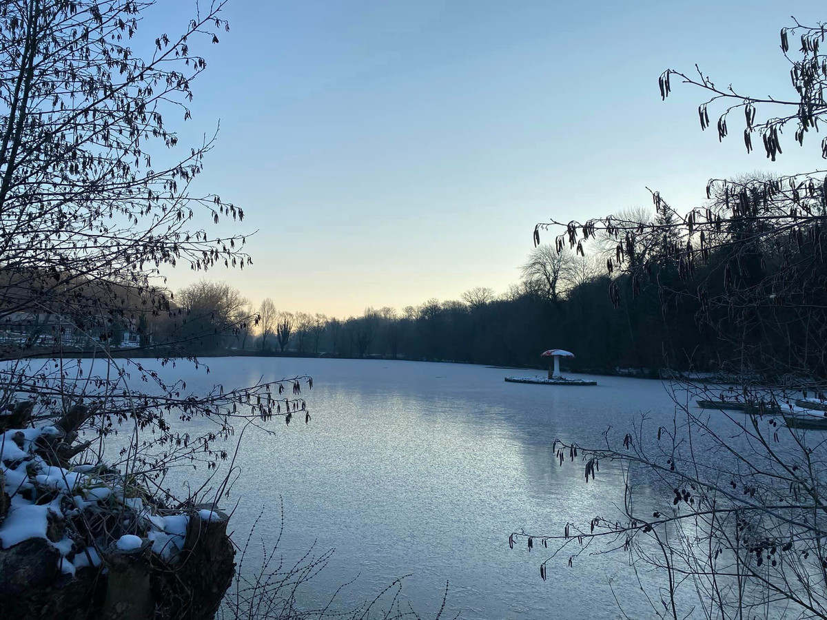 Brandweer redt vastgevroren eend aan het Zoet Water Foto hln.be