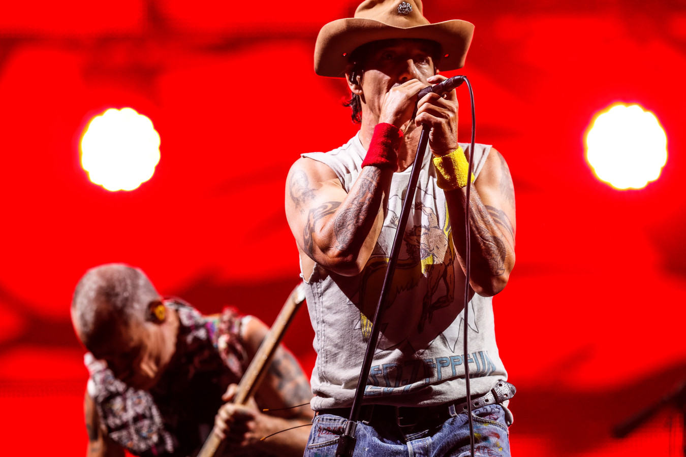 Red Hot Chili Peppers geeft samen met the Strokes en Beck in 2022