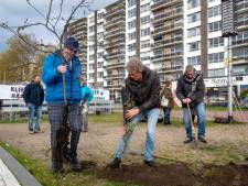 Actievoerders planten satirisch bos als voorproefje op ‘meer groen’ op de ‘Blauwe Golven’ van Arnhem