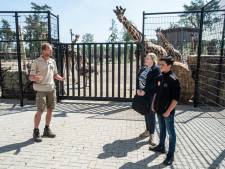 Ilkay (15) voor één dag de baas van de Beekse Bergen, en dat vindt ie genoeg