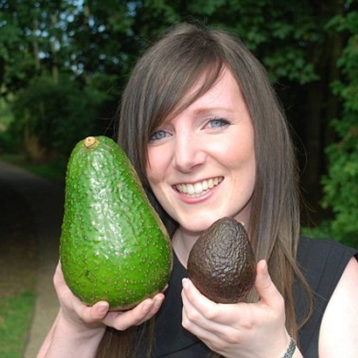 Nieuw in de Britse schappen: een superavocado van 1,3 kilo | Buitenland |  destentor.nl