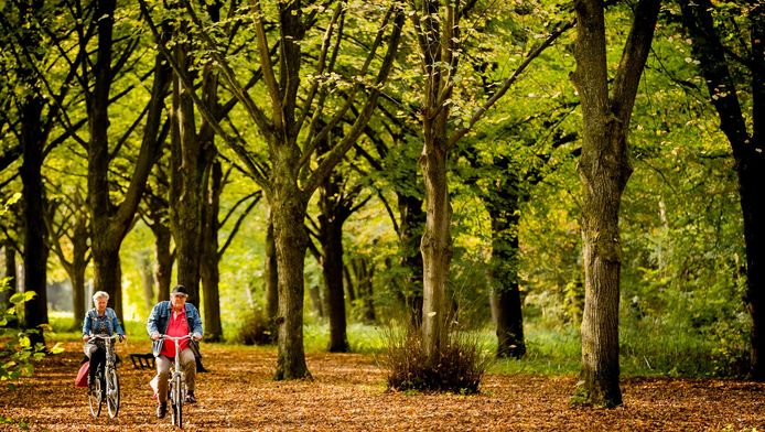 In het Amsterdamse Bos wordt 20 juni flink geluid geluid gemaakt