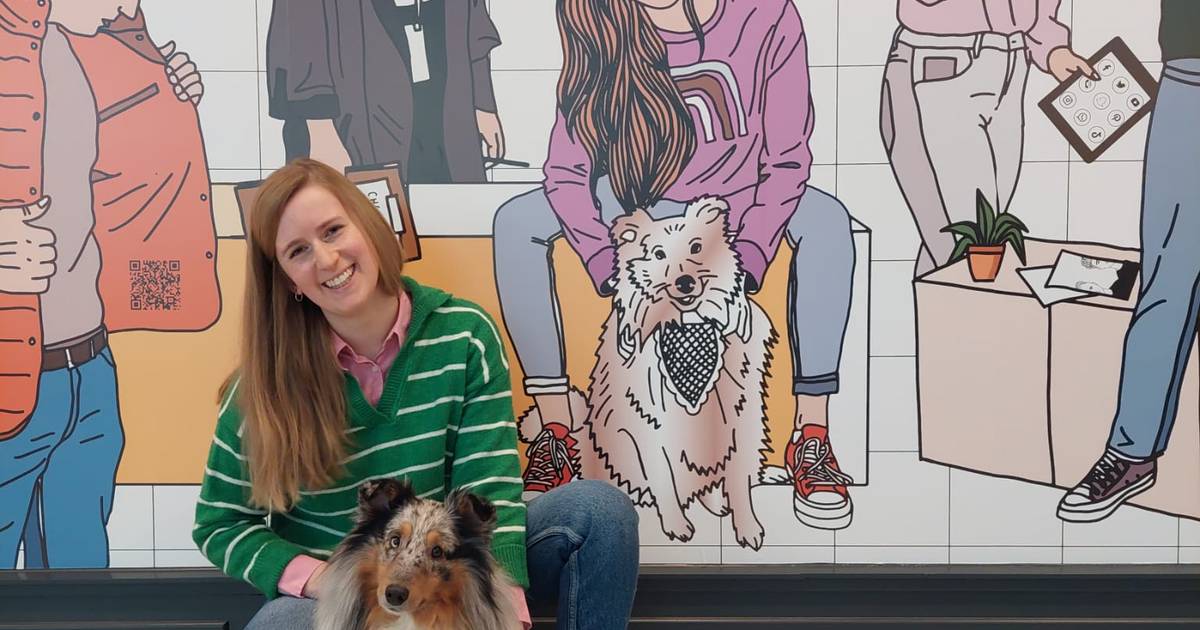 Absolutely Pawfect organiseert Paasnocturne voor hondenbaasjes in