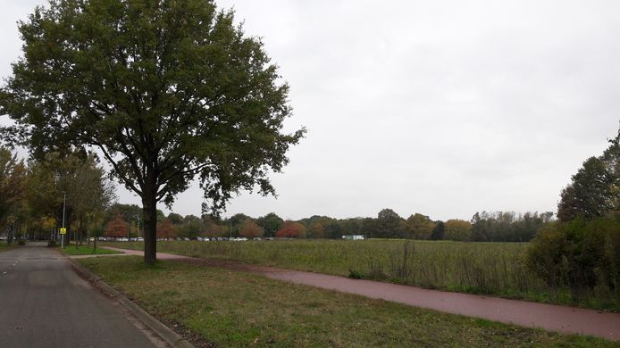 Het gebied aan de Castillëlaan in Eindhoven; tussen de Huizingalaan en het woonwagenkamp komen  670 tijdelijke huurwoningen in de categorie middeldure en sociale huur en zelfbouw.