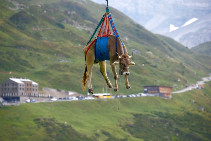 REUTERS