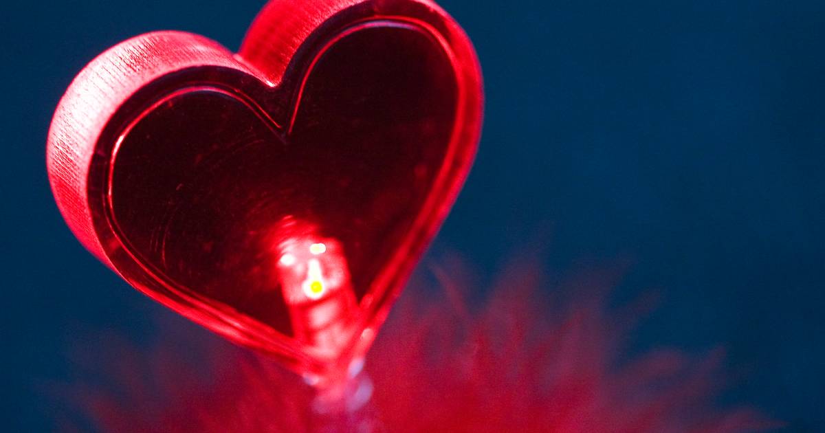 Leonardoda niettemin houding De dag van de liefde komt eraan! Dit gebeurt er tijdens Valentijnsdag in  het Groene Hart | Woerden | AD.nl