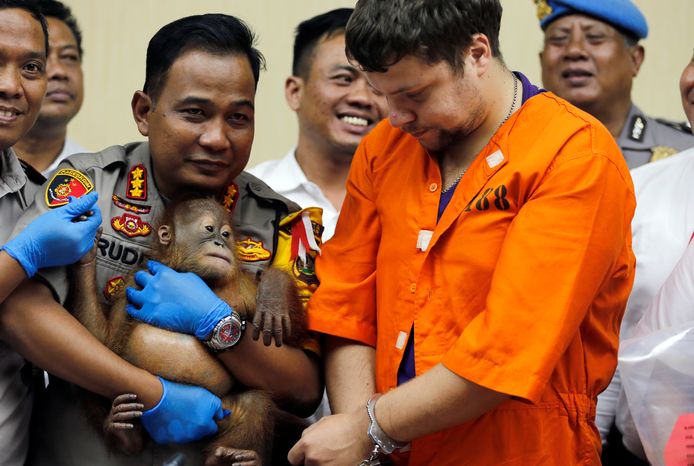 Politiechef Ruddi Setiawan met het aapje en verdachte Andrei Zhestkov op een persconferentie in Bali gisteren.