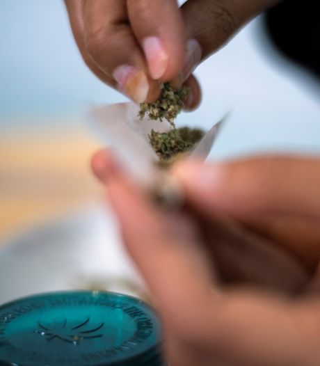 VN-rapport: cannabisgebruik gestegen door coronalockdown en legalisering