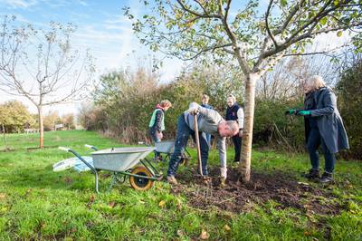 Bewoners nodigen raad uit zelf te komen kijken naar ‘ongeschikte’ plek voor ‘scheve huisjes’