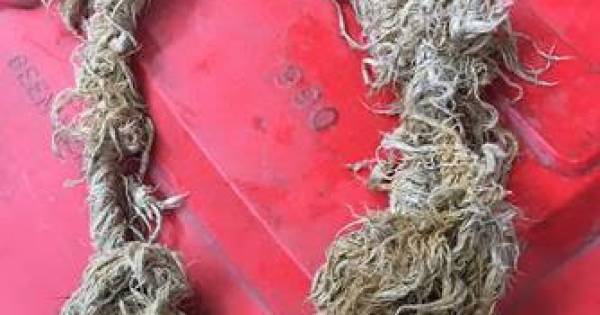 Doorgespoelde vloermop zorgde voor verstopping in gemaal Anna Jacobapolder