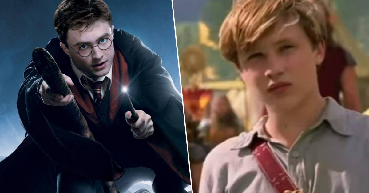 The Harry Potter and Narnia Connection: A TikTok Theory Exploring the