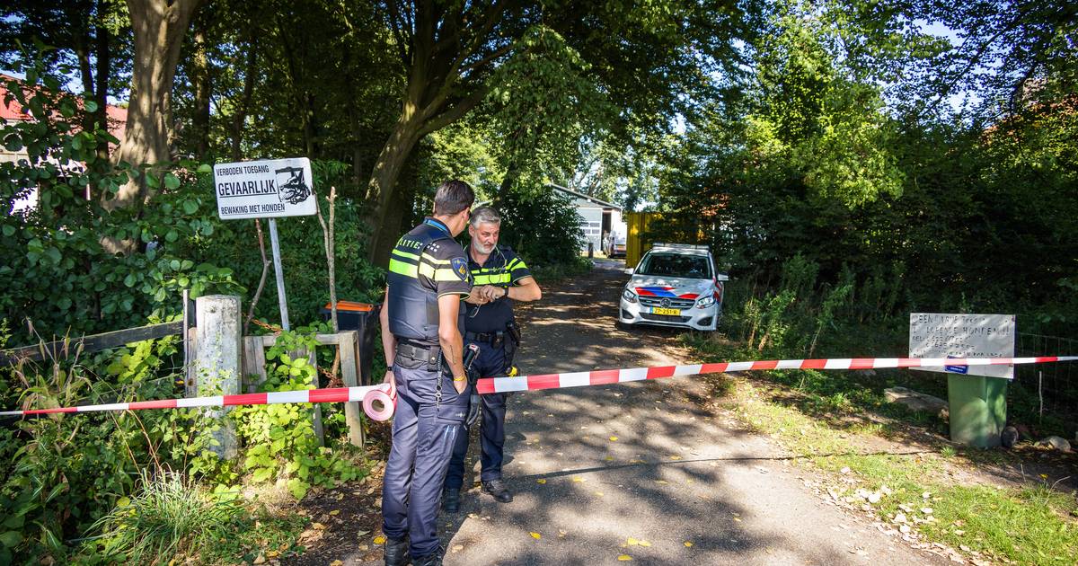 Politie valt binnen bij hondenopvang Tollebeek en stuit op wietplantage: bewoners gevlucht ‘uit angs