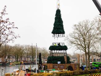 Piushaven stelt de ‘Kerst-reus’ vast op