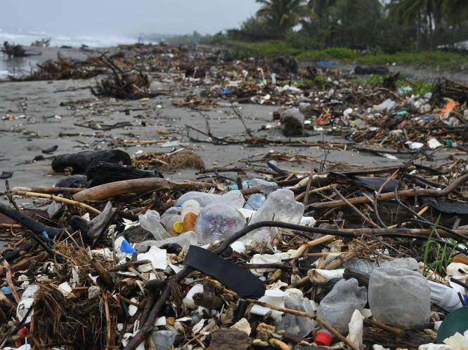 Nieuwe studie maakt gewag van recordhoeveelheid plastic in oceanen