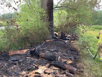 Bliksem vernielt boom langs kanaal: stukken tot 30 meter ver weggeblazen