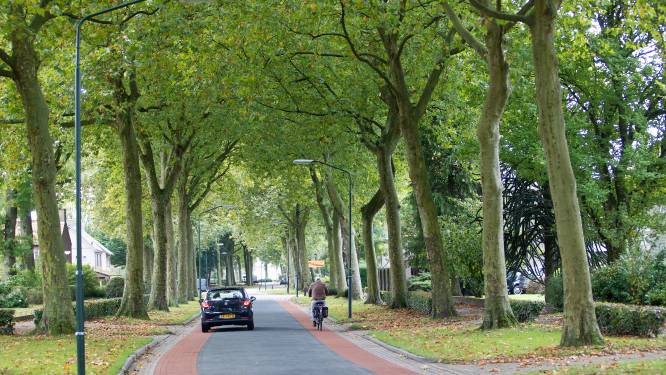 Zorgen over veiligheid bij nieuwe supermarkt Reusel