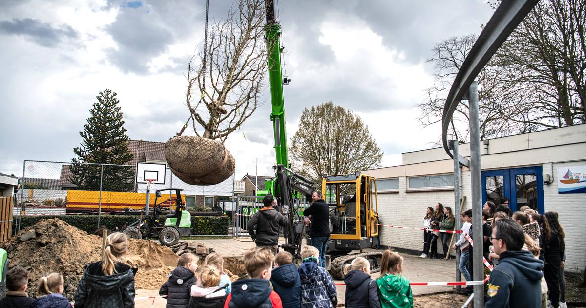 Het schoolplein van de basisschool in Altforst krijgt een facelift: tegels eruit, groen erin