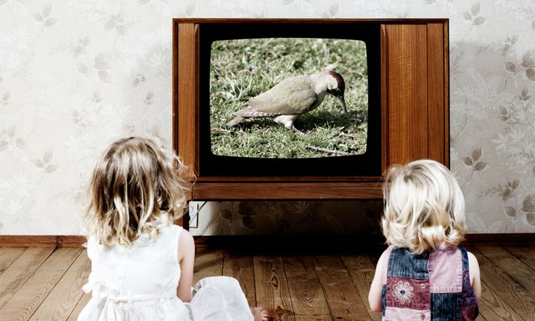 null Beeld 