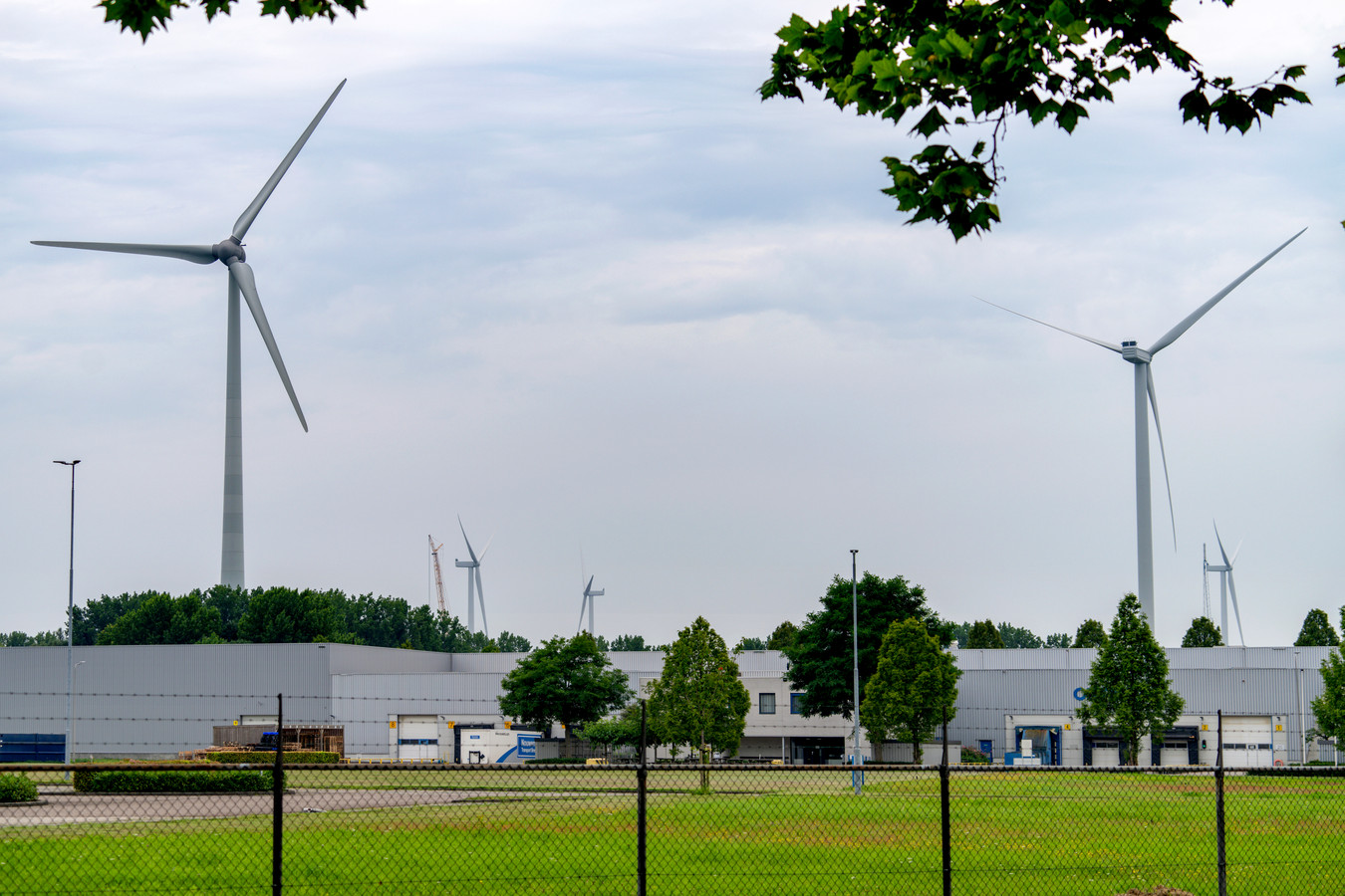 De vijf Bossche windmolens gezien vanuit de Maaspoort.