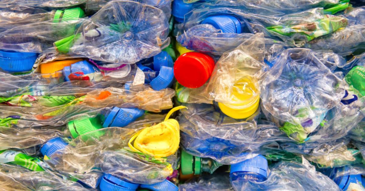 Lang Wees tevreden weggooien Zakken voor plastic afval vanaf donderdag bezorgd in Hulst |  Zeeuws-Vlaanderen | pzc.nl