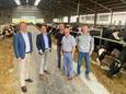 De broers Pieter (34) en Jonas (40) Lammens kregen een vergunning voor tweehonderd koeien, maar zouden hun veestapel nu moeten afbouwen. "Contractbreuk", vinden ze.
