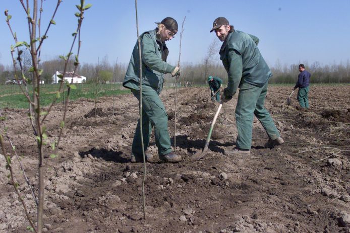 Zaterdag 30 november planten Natuurpunt en de Aarschotse scouts alvast 3.300 bomen aan.
