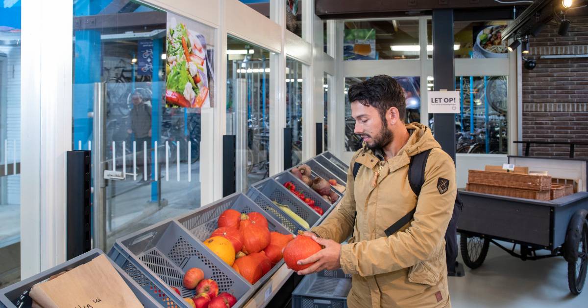 Winkeltje met streekproducten op station Ede-Wageningen: 'Kleur van verse melk staat mij aan' - De G