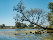 Stikstofvoorraad is ‘tikkende tijdbom’ voor de natuur