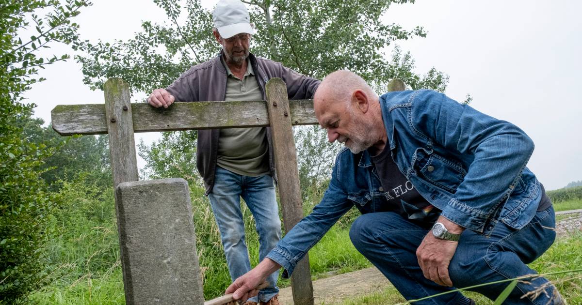 Geen gewoon paaltje, maar een eeuwenoude Tiendpaal: ‘Ze vertellen een bijzonder verhaal over ons ver