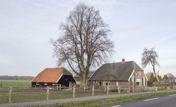 Diepenheimseweg 29, waar in eerste instantie plannen waren voor vestiging van een mega-varkenshouderij.