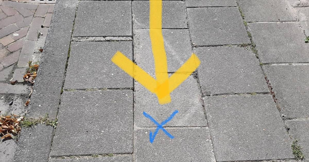 Schoenen yvonne sales deurne