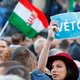 Tienduizenden Hongaren betogen tegen 'universiteitswet'