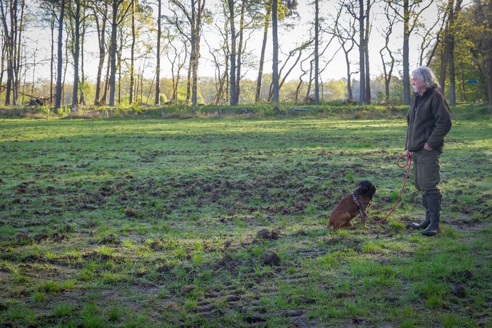 Jager Jan van de Kerkhof uit Valkenswaard laat zien waar de wilde zwijnen het liefst in de modder wroeten.