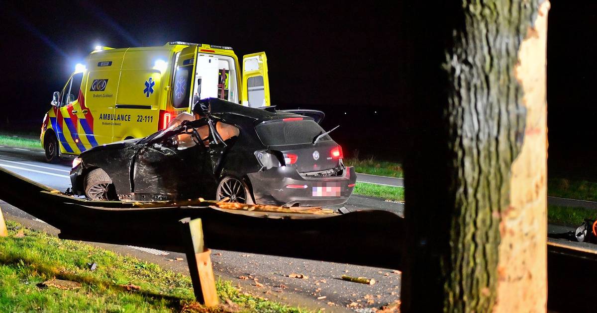 Automobilist overleden na ongeval op provinciale weg.