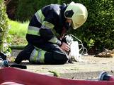 Brandweer reanimeert kat na Friese woningbrand