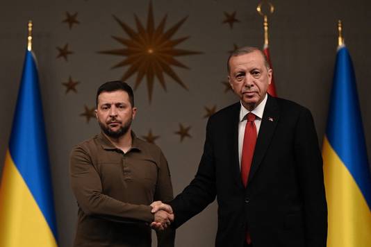 De Oekraïense president Volodymyr Zelensky en de Turkse president Recep Tayyip Erdogan. (07/07/23)