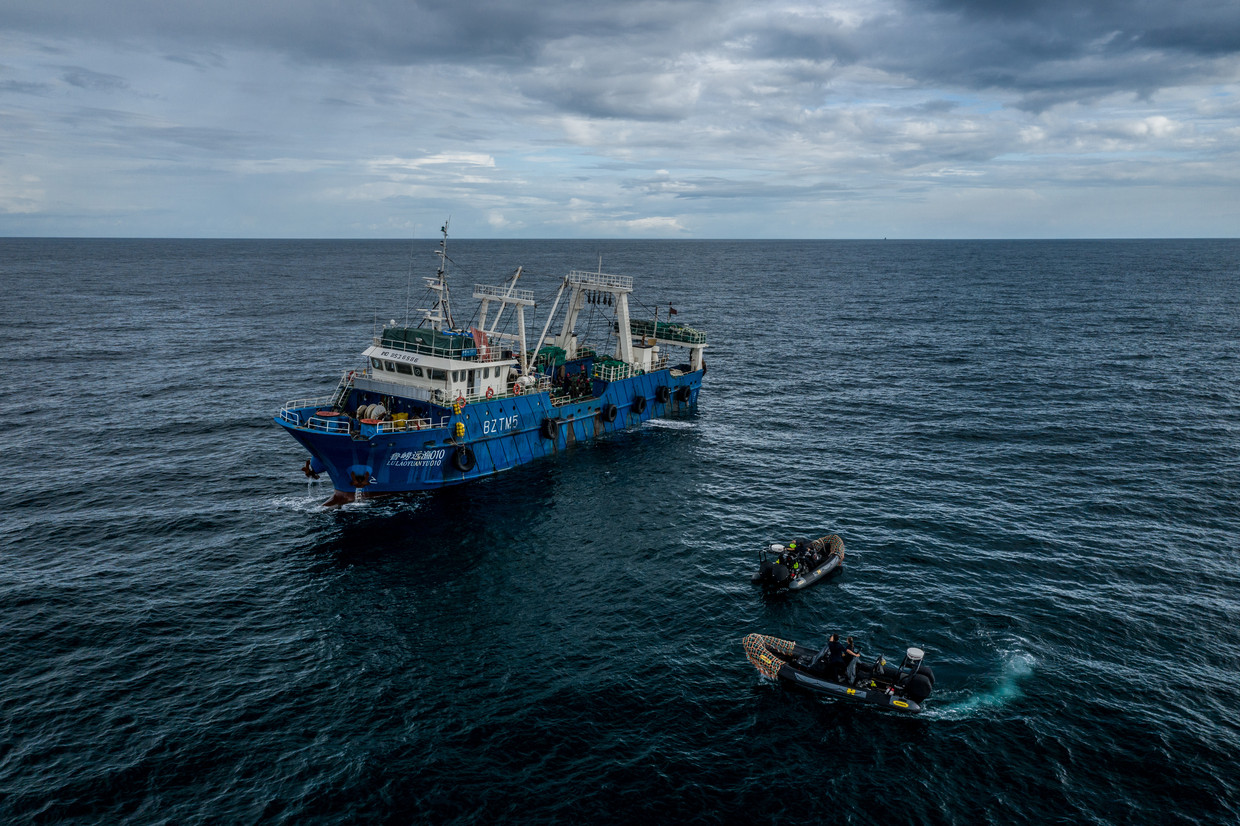 Speedboten van het patrouilleschip Sea Shepherd komt langszij van een Chinees vissersschip in de wateren van Gambia.