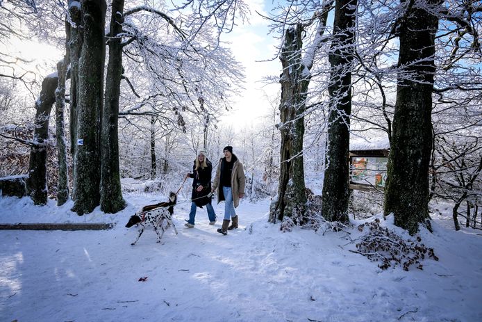 Sneeuw in Waime, de provincie Luik.